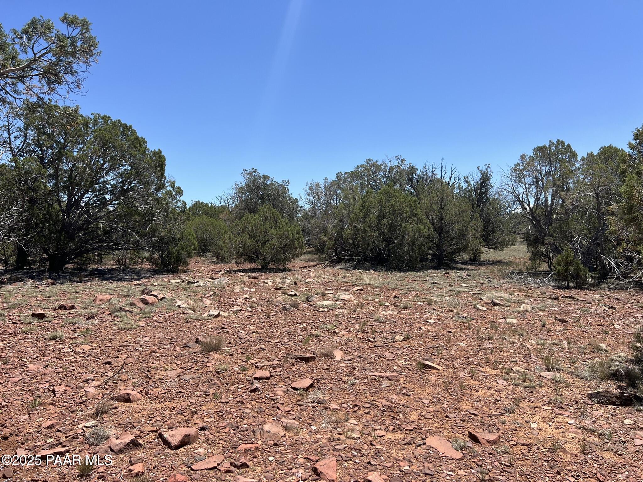 61 Norma Sw4 Road Ash Fork, AZ 86320 - Photo 2 of 7 a view of a yard