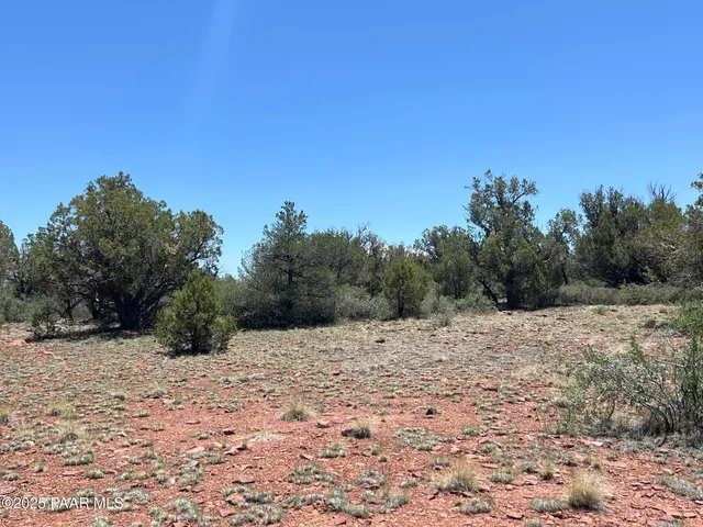 a view of a backyard of the house