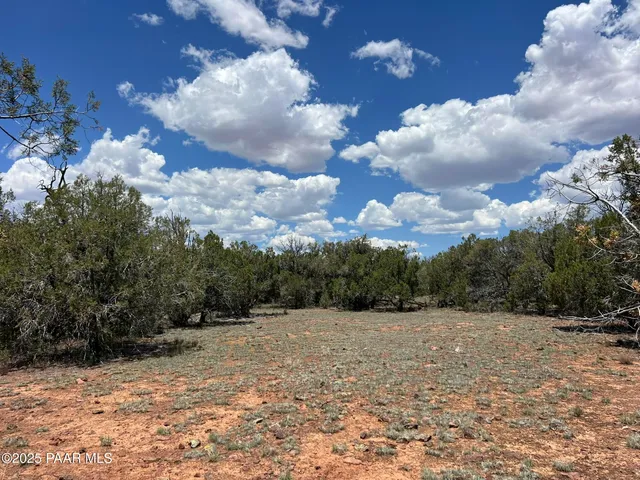 a black and white photo of a house