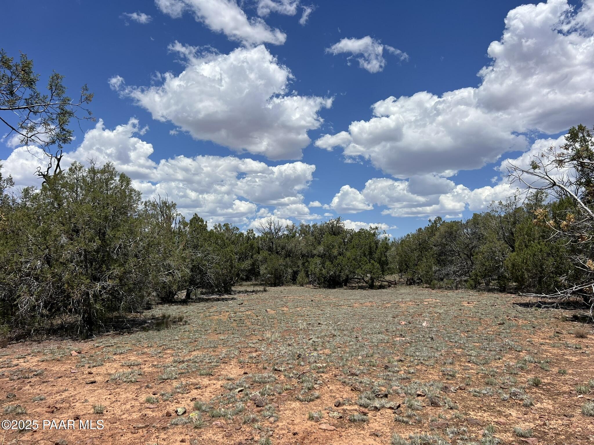 61 Norma Sw4 Road Ash Fork, AZ 86320 - Photo 6 of 7 a view of a backyard of the house
