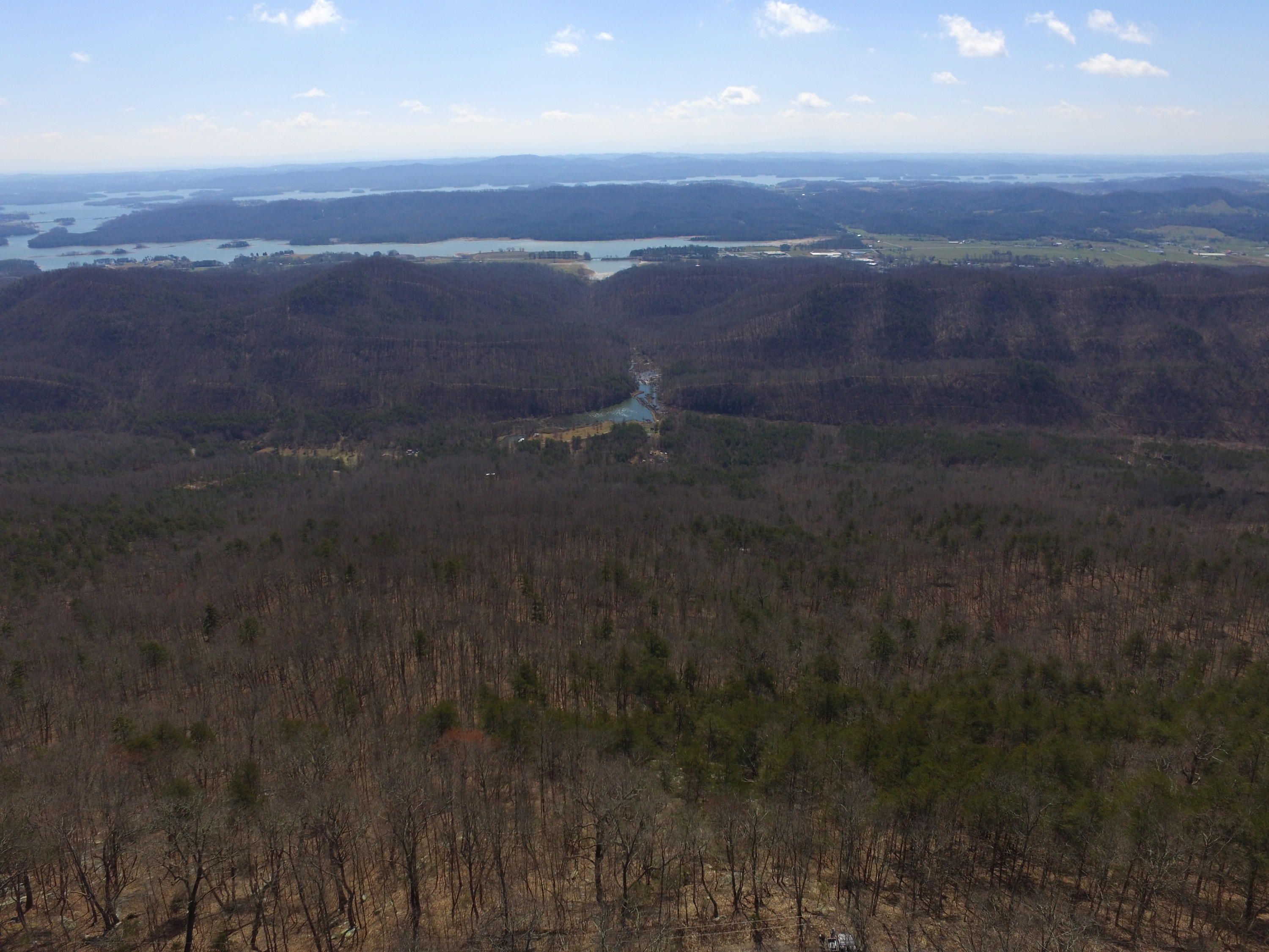 Lookout Mtn Road Bean Station, TN 37708 - Photo 3 of 29 2019-03-22 12.30.14