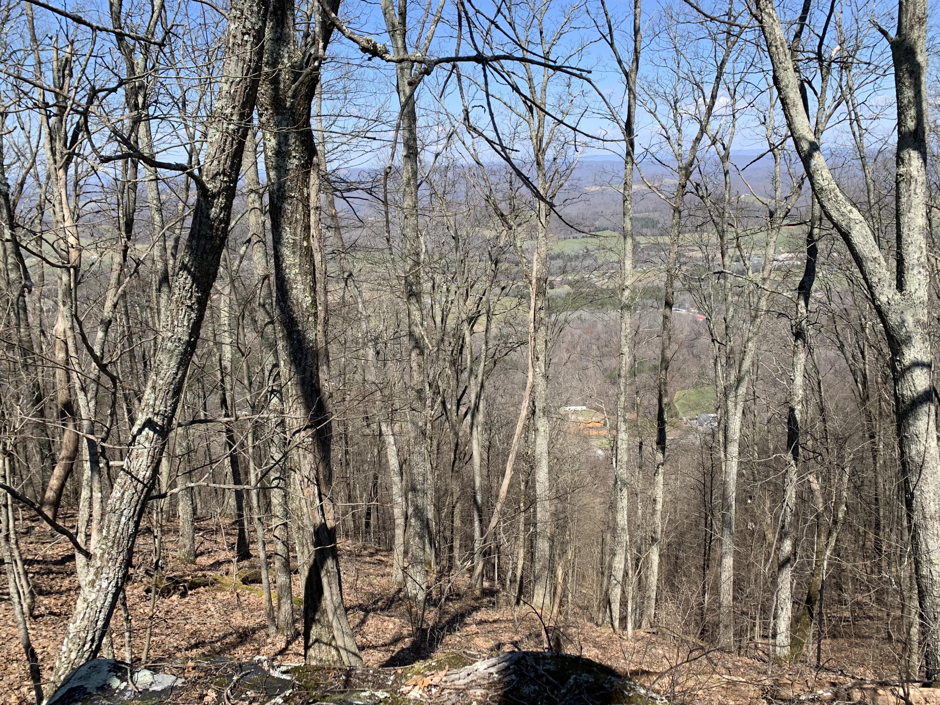 Lookout Mtn Road Bean Station, TN 37708 - Photo 22 of 29 2019-03-22 12.47.28