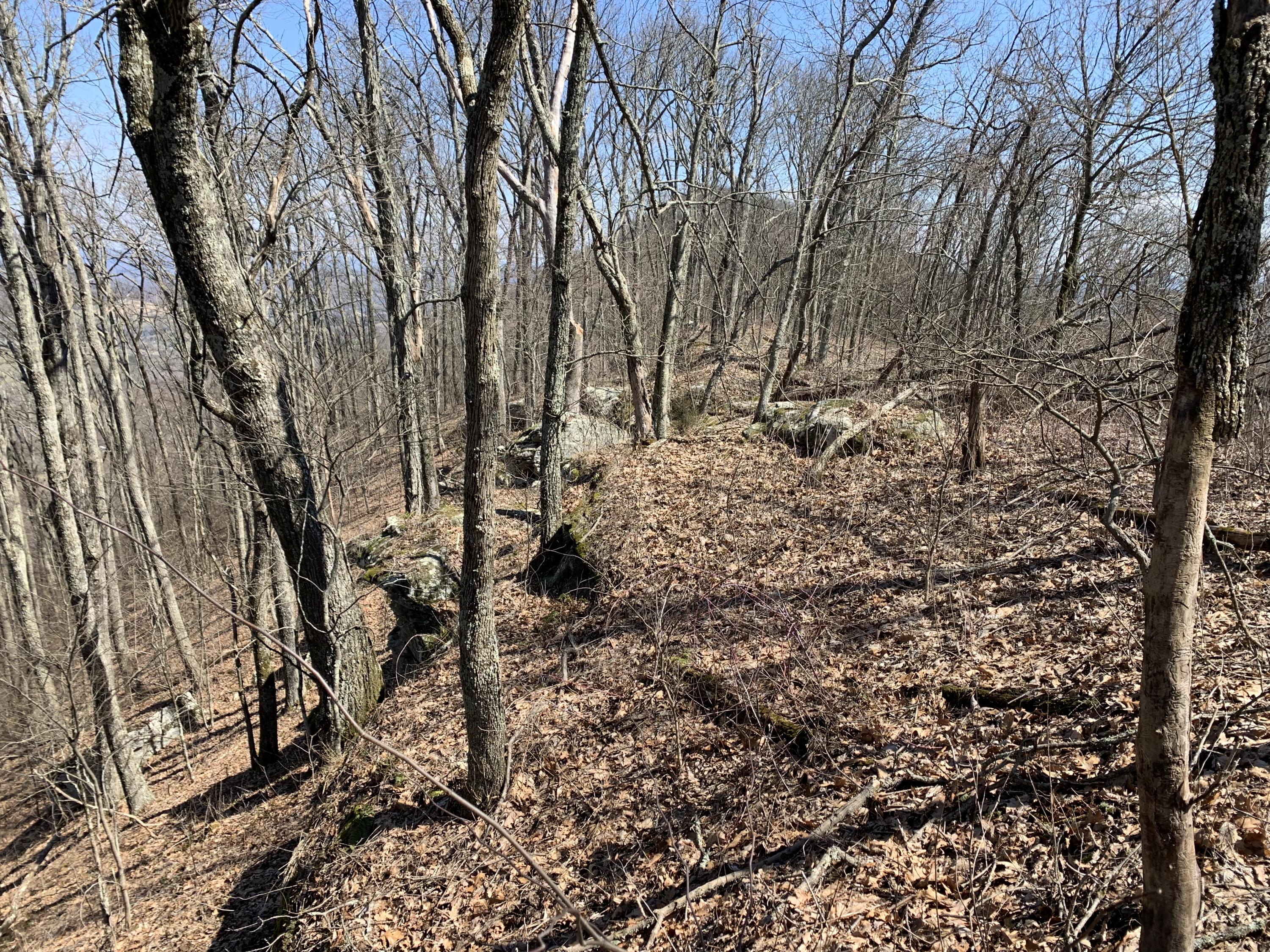 Lookout Mtn Road Bean Station, TN 37708 - Photo 23 of 29 2019-03-22 12.47.30