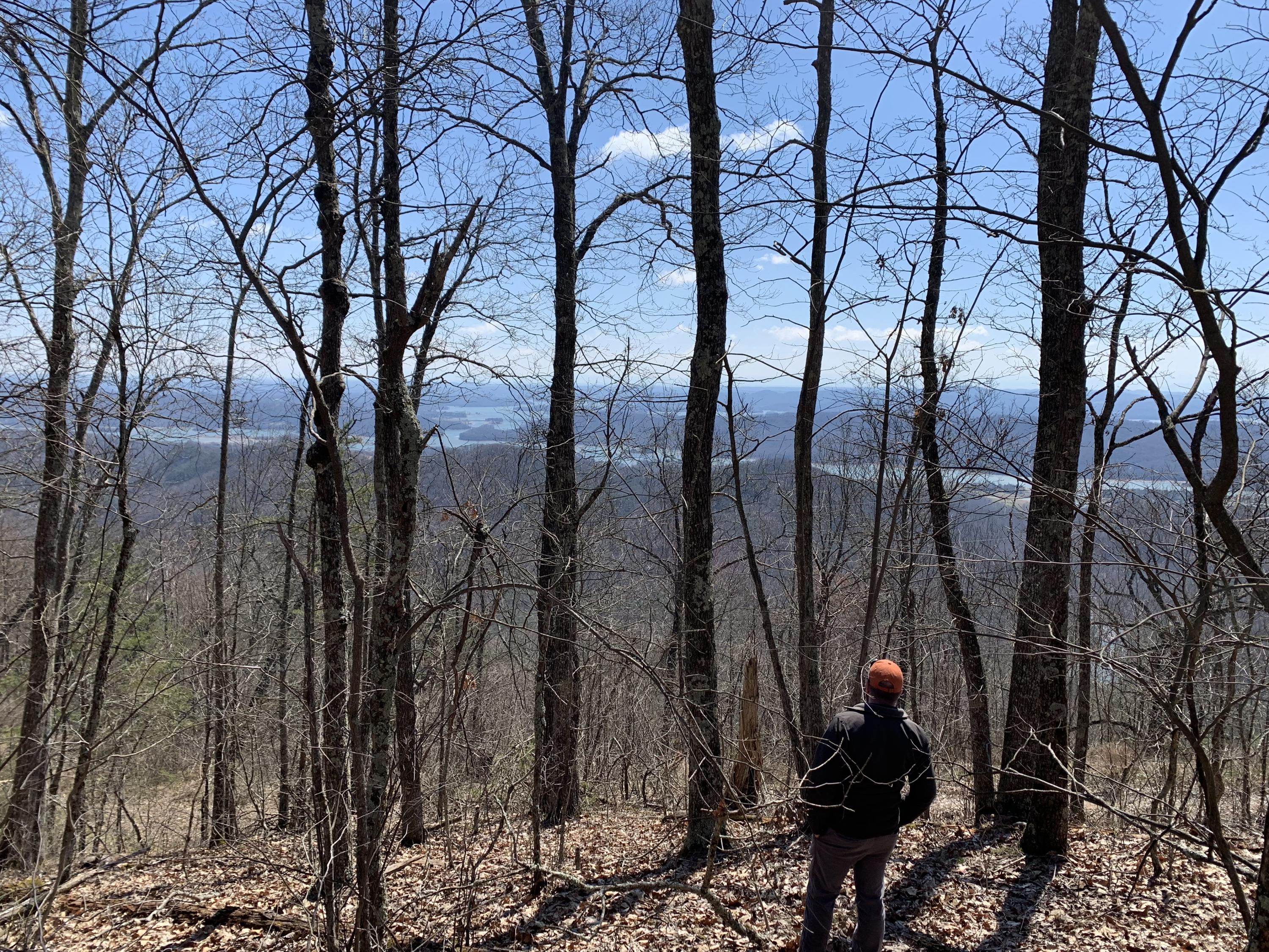 Lookout Mtn Road Bean Station, TN 37708 - Photo 24 of 29 2019-03-22 12.51.24