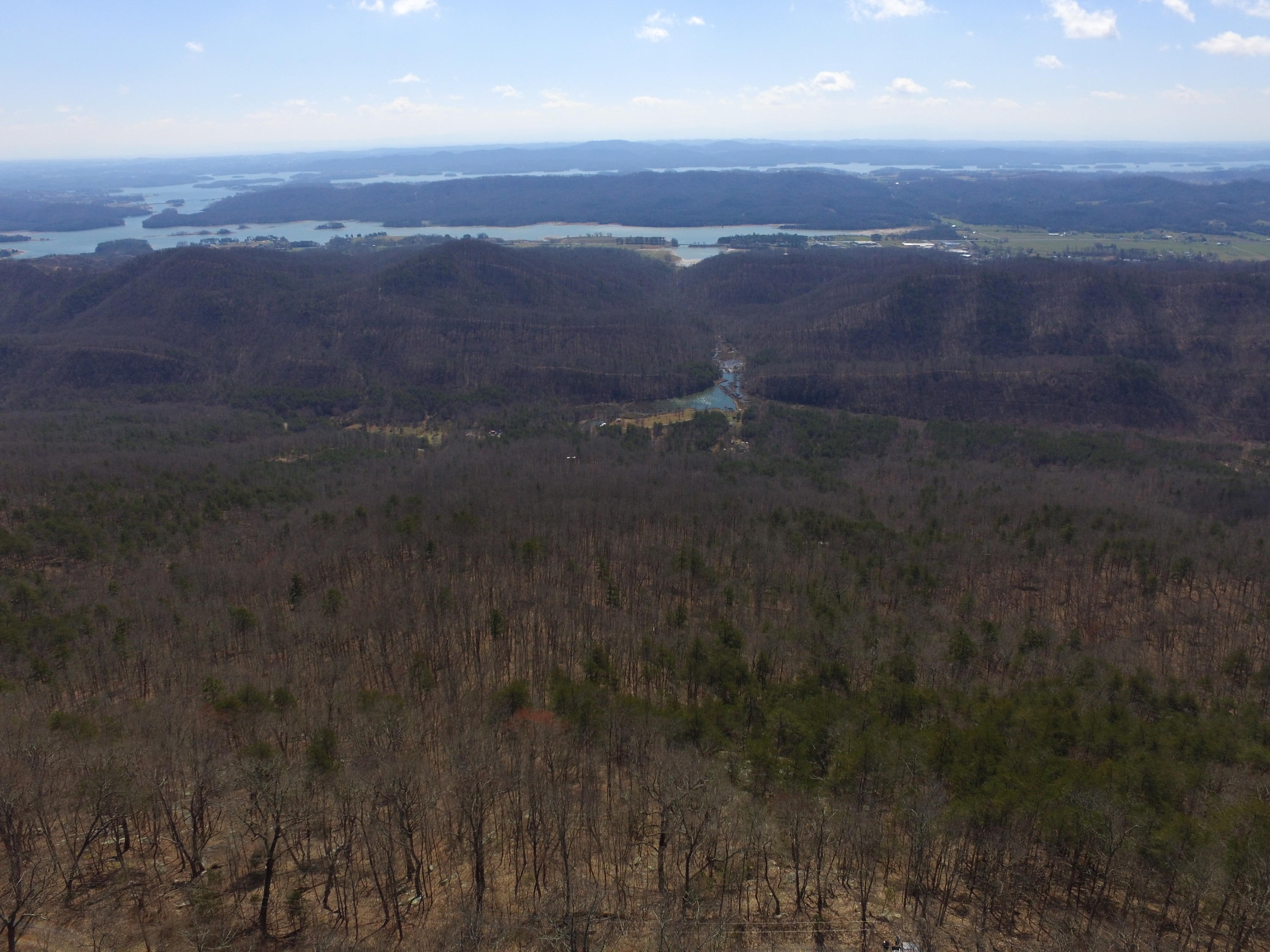 Lookout Mtn Road Bean Station, TN 37708 - Photo 4 of 29 2019-03-22 12.30.17