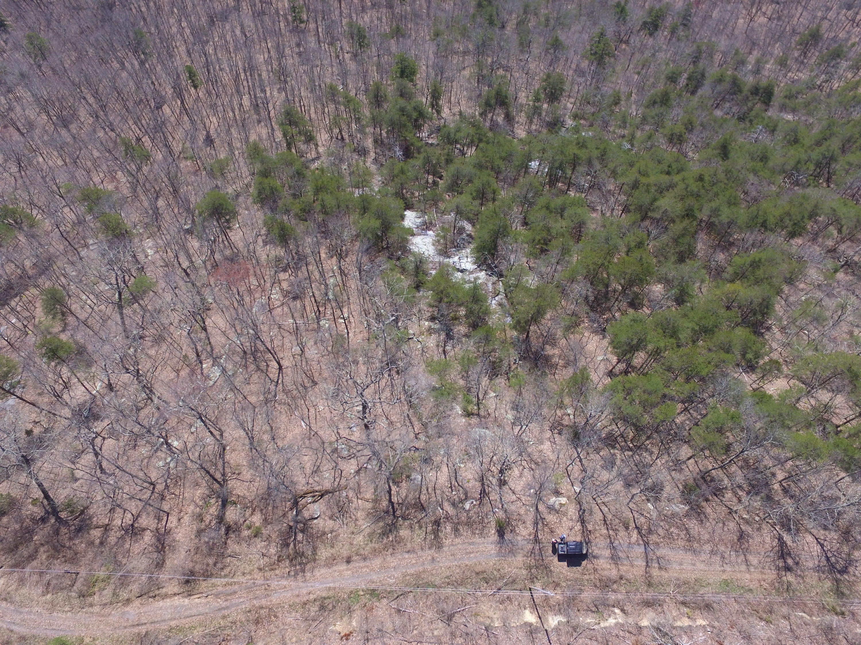 Lookout Mtn Road Bean Station, TN 37708 - Photo 6 of 29 2019-03-22 12.30.35