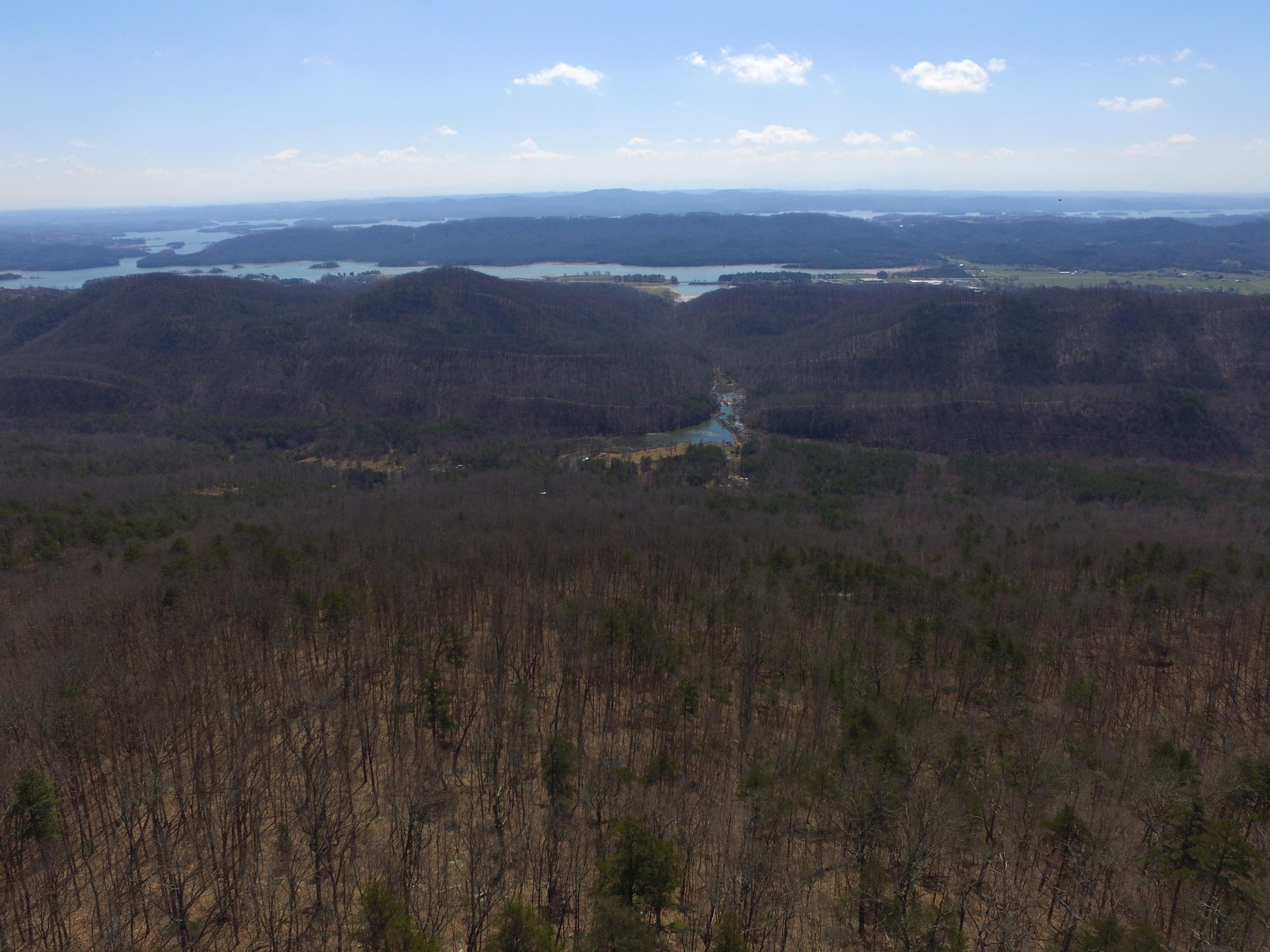 Lookout Mtn Road Bean Station, TN 37708 - Photo 10 of 29 2019-03-22 12.32.12