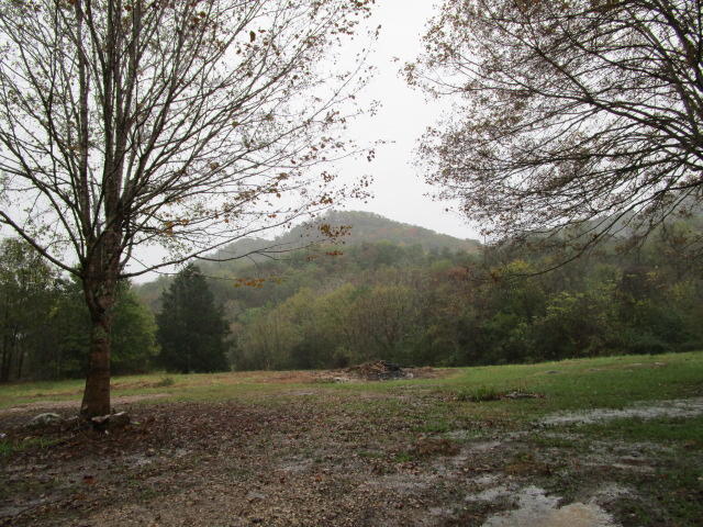 290 Knob Road Rutledge, TN 37861 - Photo 2 of 7 IMG_1356