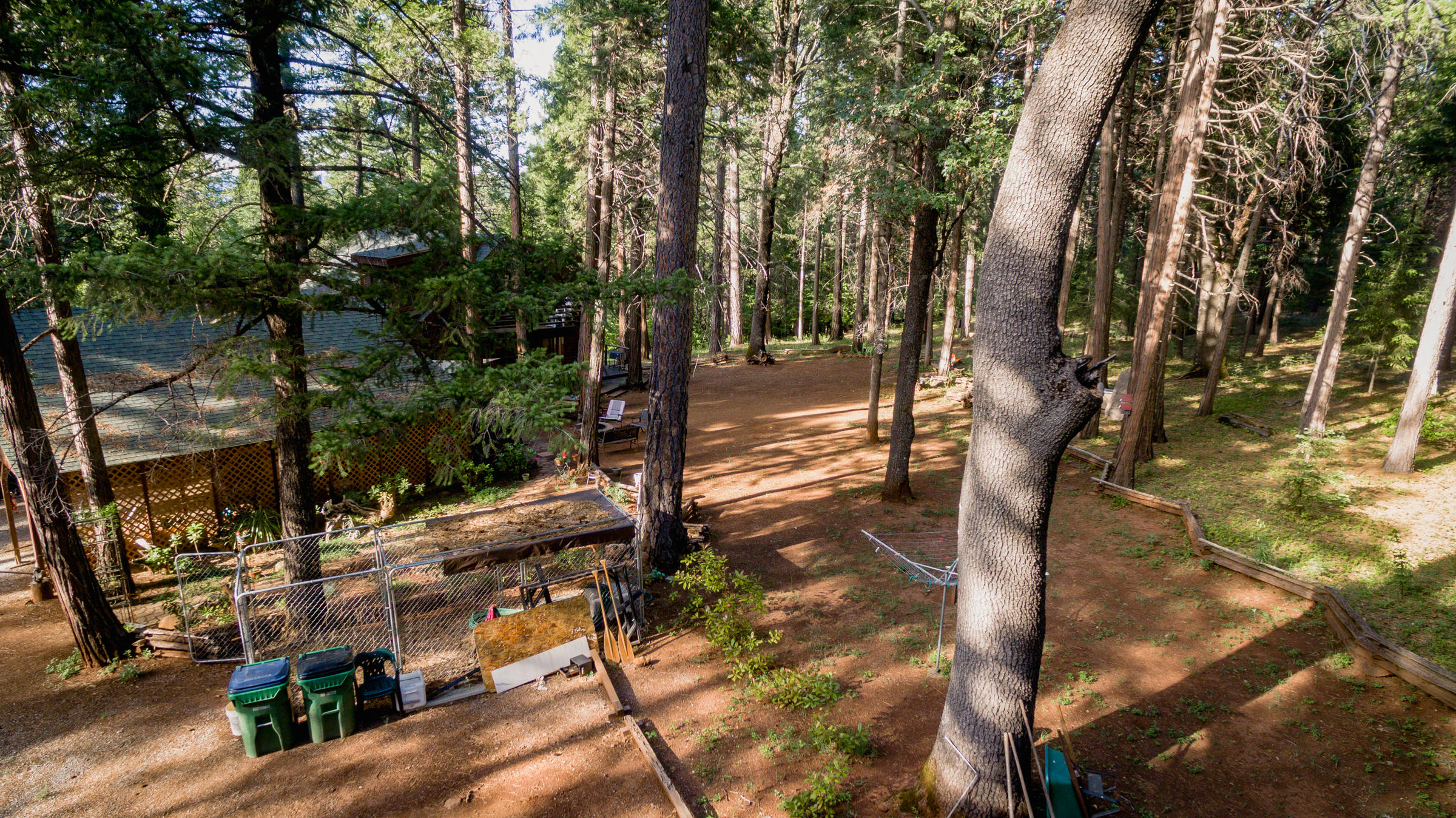 30520 100 Road Shingletown, CA 96088 - Photo 22 of 23 DJI_0040