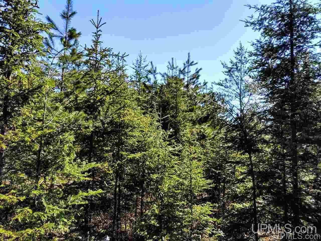 Tbd Forest Hwy 16 Road Iron River, MI 49935 - Photo 26 of 49