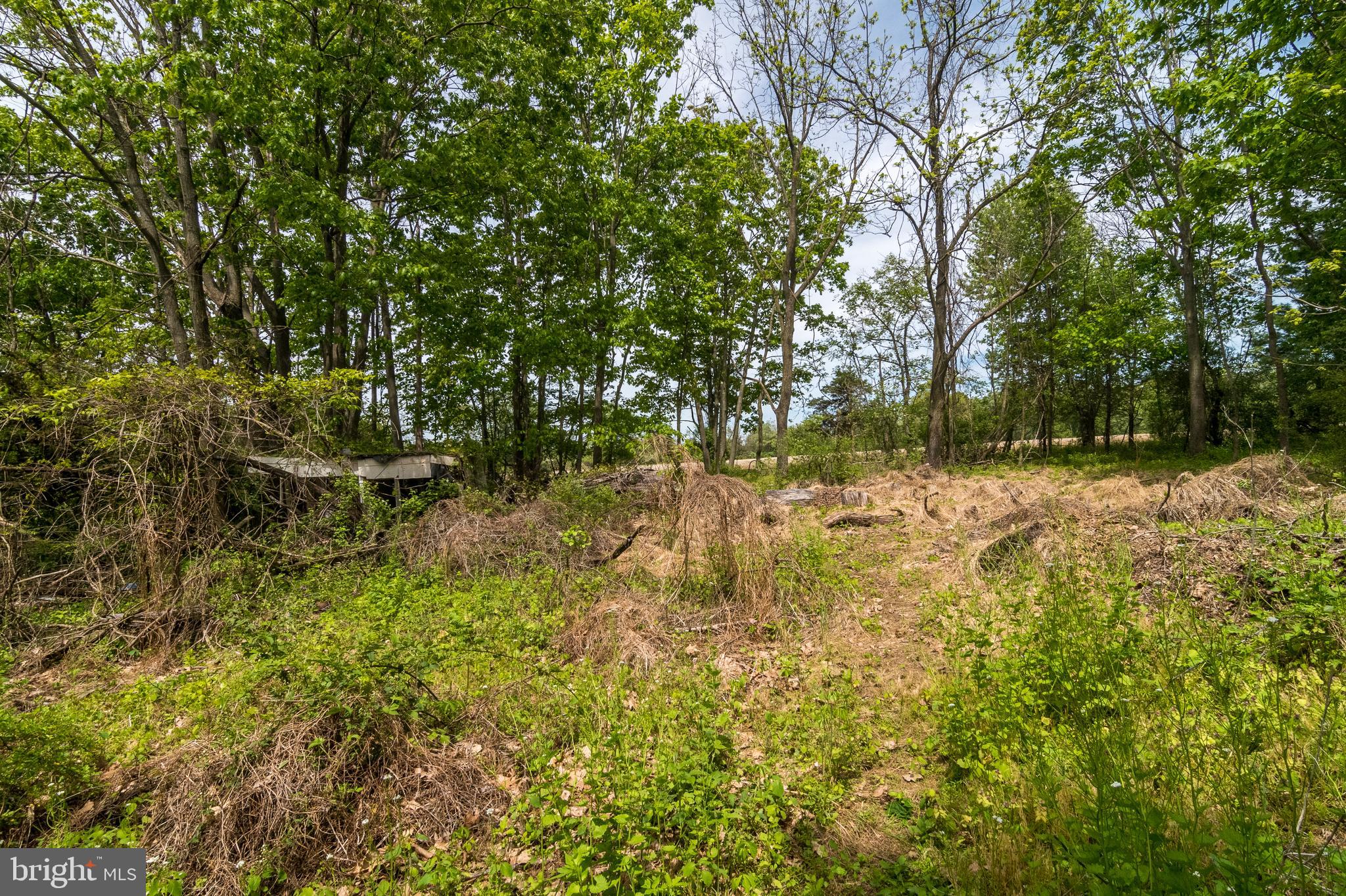 4280 New Hope Road New Hope, PA 18938 - Photo 62 of 75 Gallery Image 62