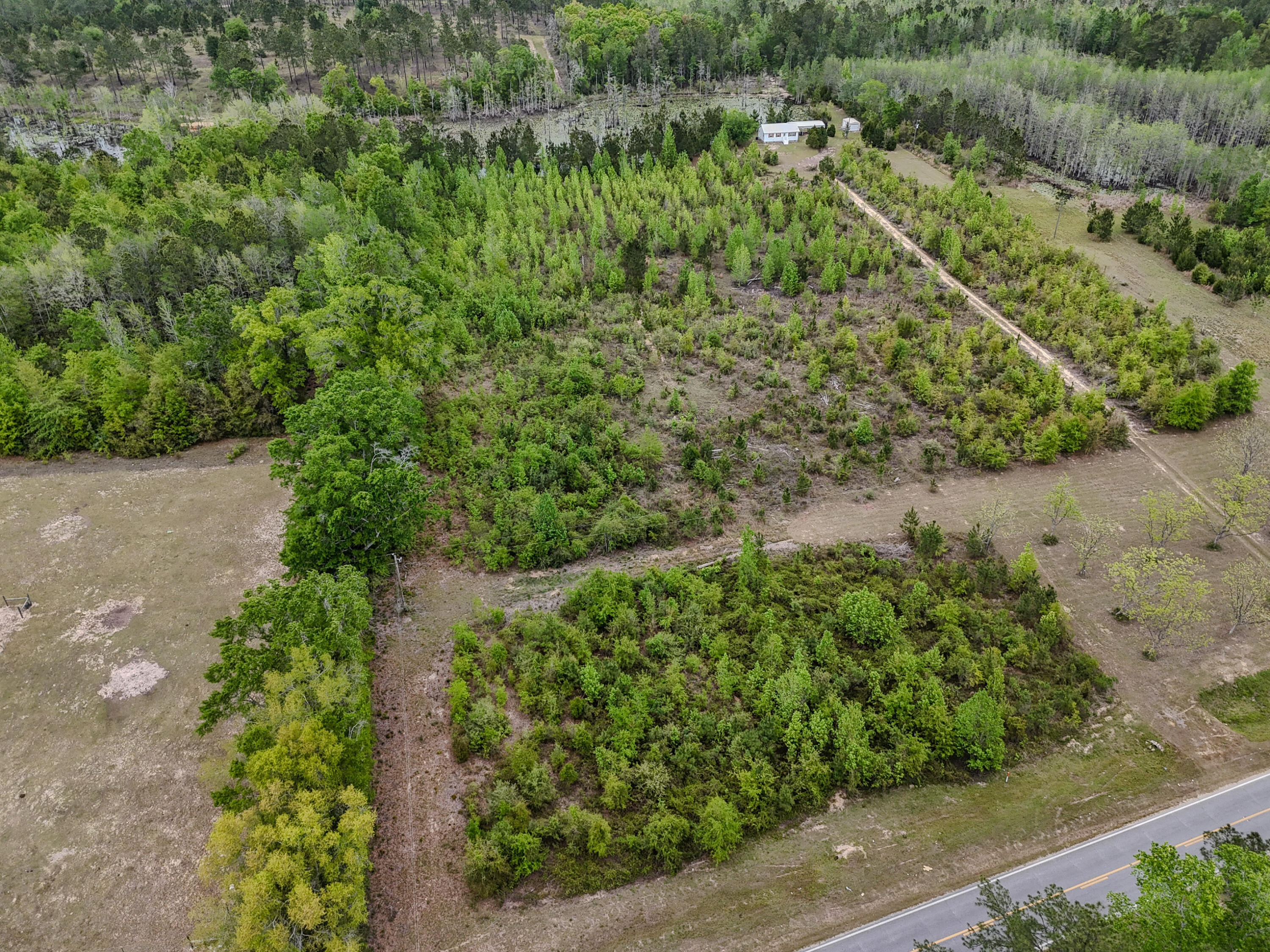 2328 Pioneer Road Chipley, FL 32428 - Photo 12 of 46 DJI_20260408142005_0109_D