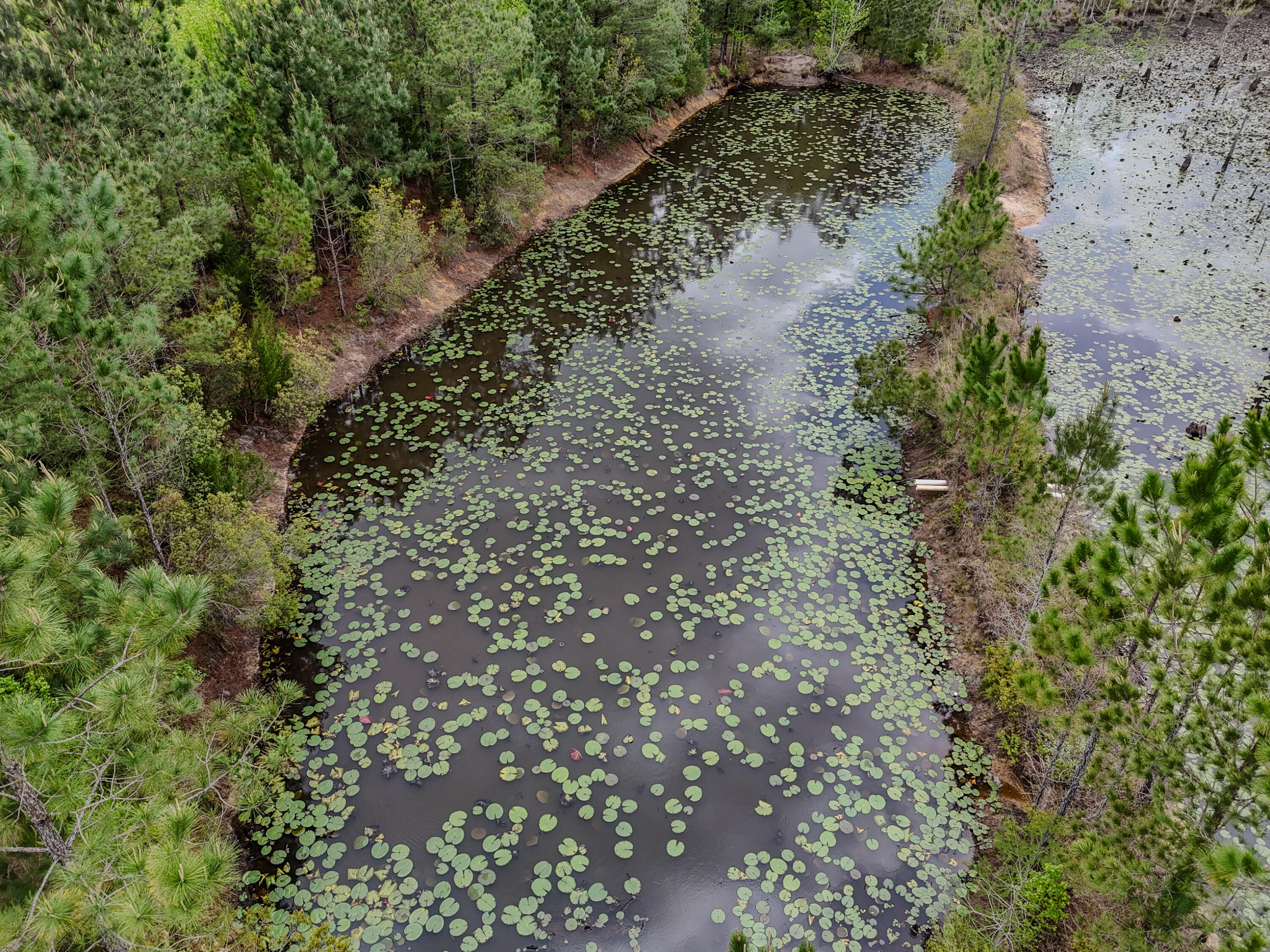 2328 Pioneer Road Chipley, FL 32428 - Photo 15 of 46 DJI_20260408142051_0112_D