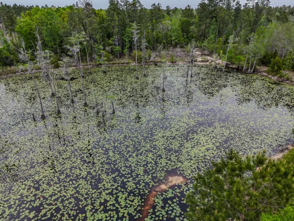 $245,000 | 2328 Pioneer Road, Chipley, FL 32428