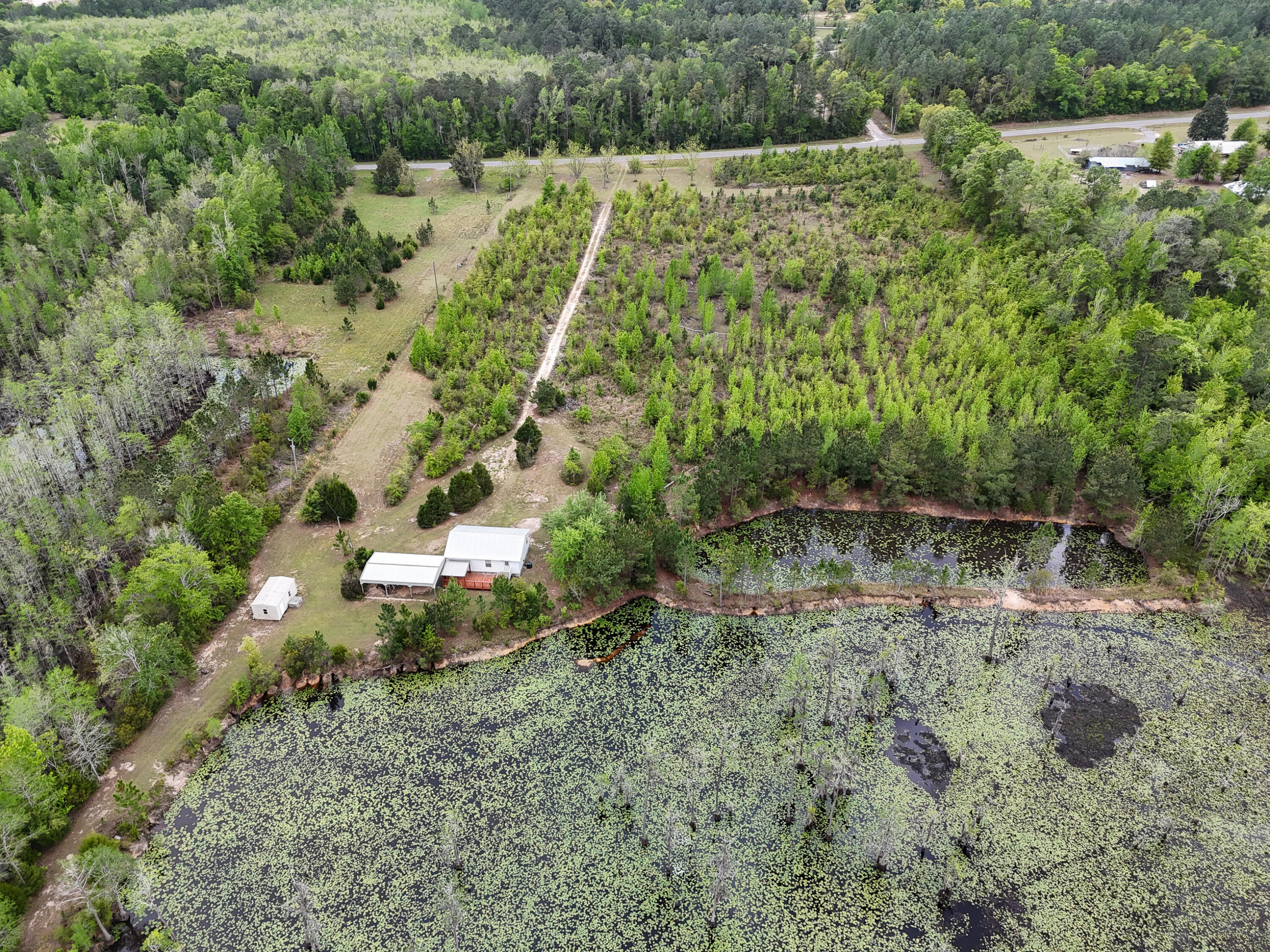 2328 Pioneer Road Chipley, FL 32428 - Photo 10 of 46 DJI_20260408141813_0104_D