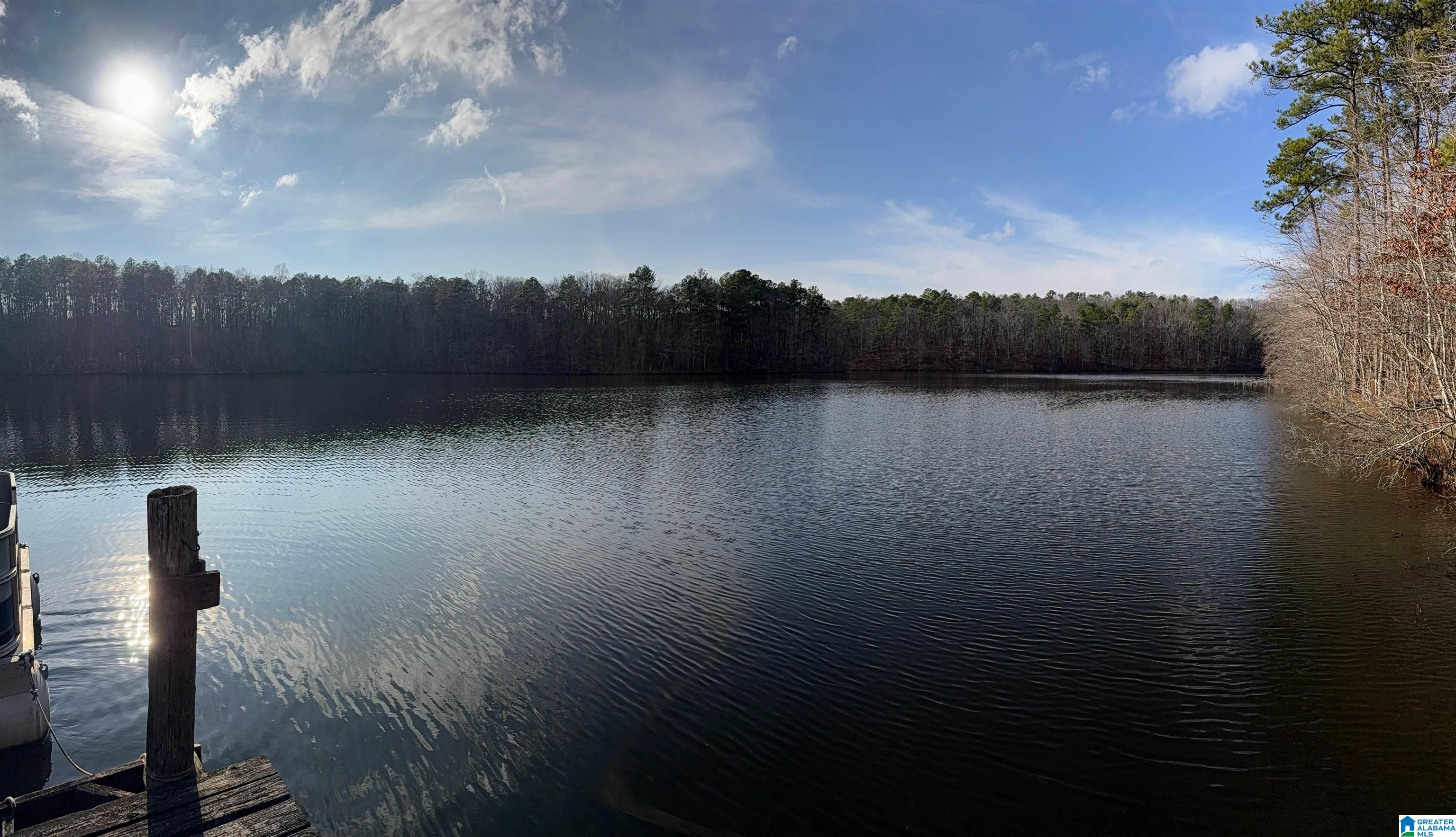 0 Deer Run Road Alabaster, AL 35007 - Photo 2 of 25