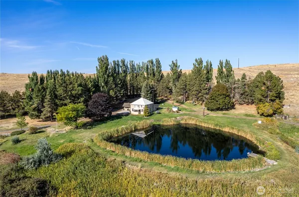a view of swimming pool from a yard