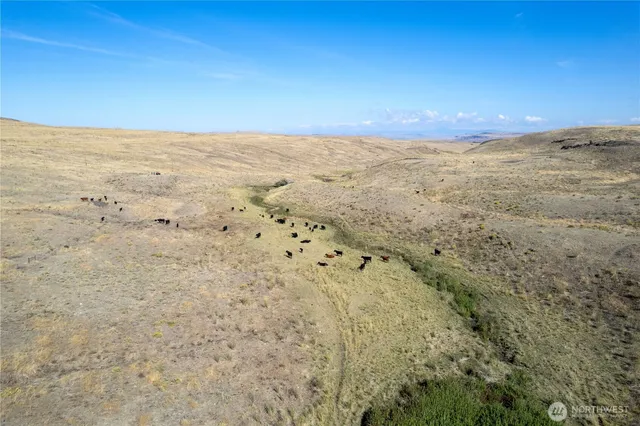 a view of beach and an ocean