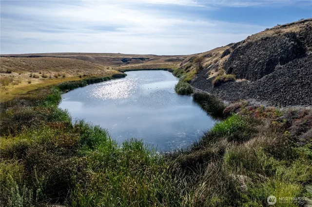a view of a lake with a city