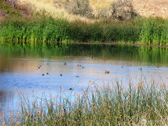 a view of a lake with a big yard