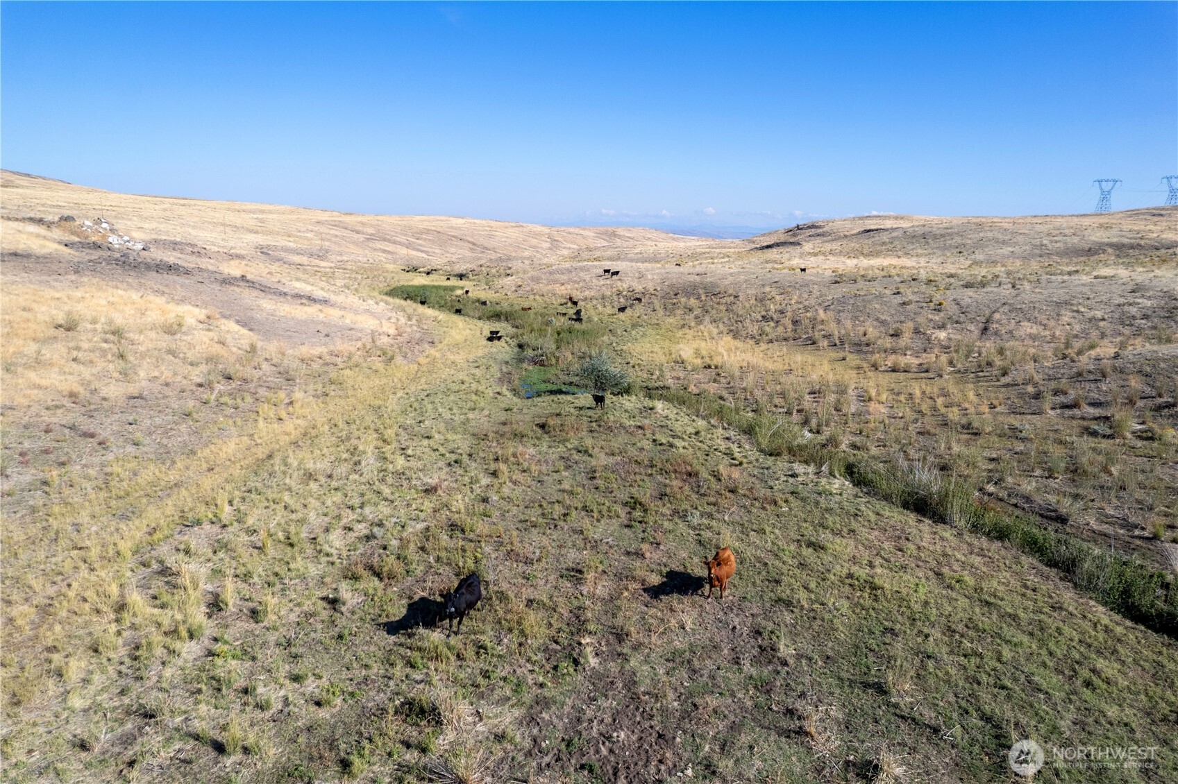 61 Dyer Hill Road Northeast Mansfield, WA 98830 - Photo 9 of 27 a view of sky view