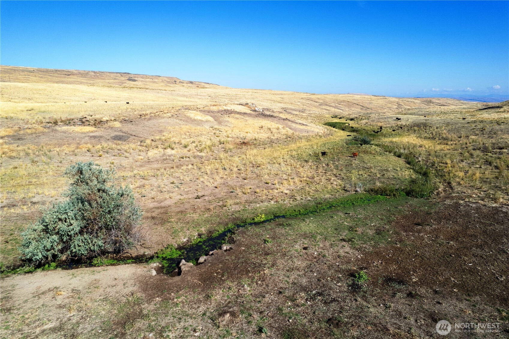 61 Dyer Hill Road Northeast Mansfield, WA 98830 - Photo 10 of 27 a view of an ocean