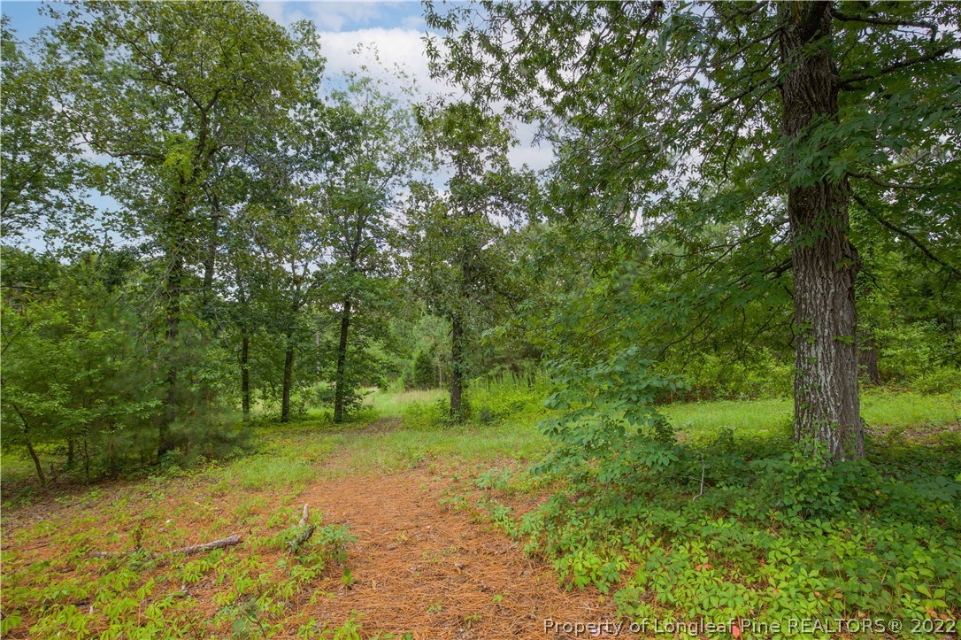 453 Heritage Farm Road Carthage, NC 28327 - Photo 47 of 50 a view of backyard with green space
