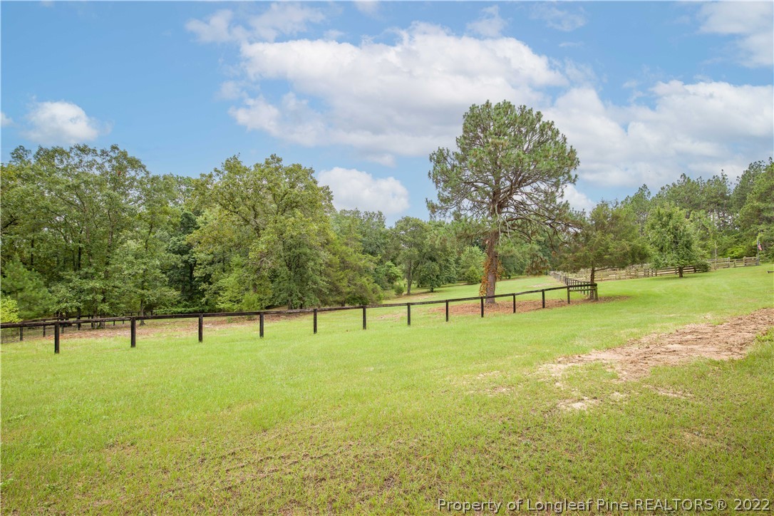453 Heritage Farm Road Carthage, NC 28327 - Photo 50 of 50 a view of three trees and outdoor space