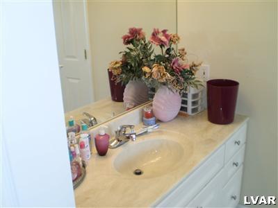 5219 Springmill Road Whitehall, PA 18052 - Photo 26 of 40 a bathroom with a sink and a mirror