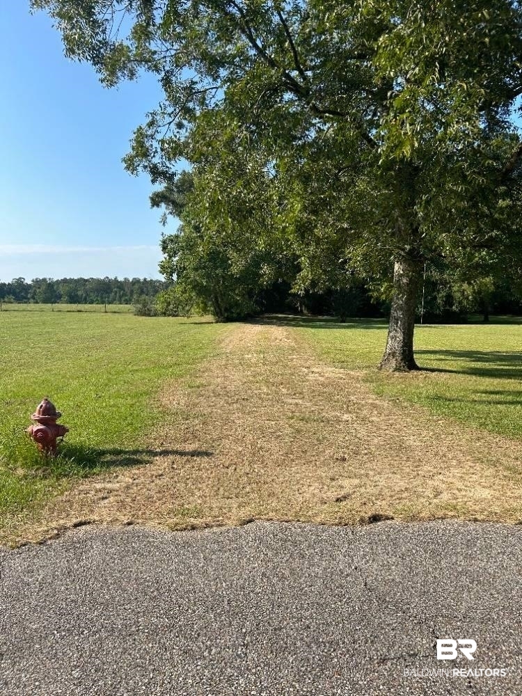 0 Appleton Road Brewton, AL 36426 - Photo 1 of 3 View of yard
