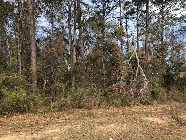 0 Miflin Road Foley, AL 36535 - Photo 2 of 7