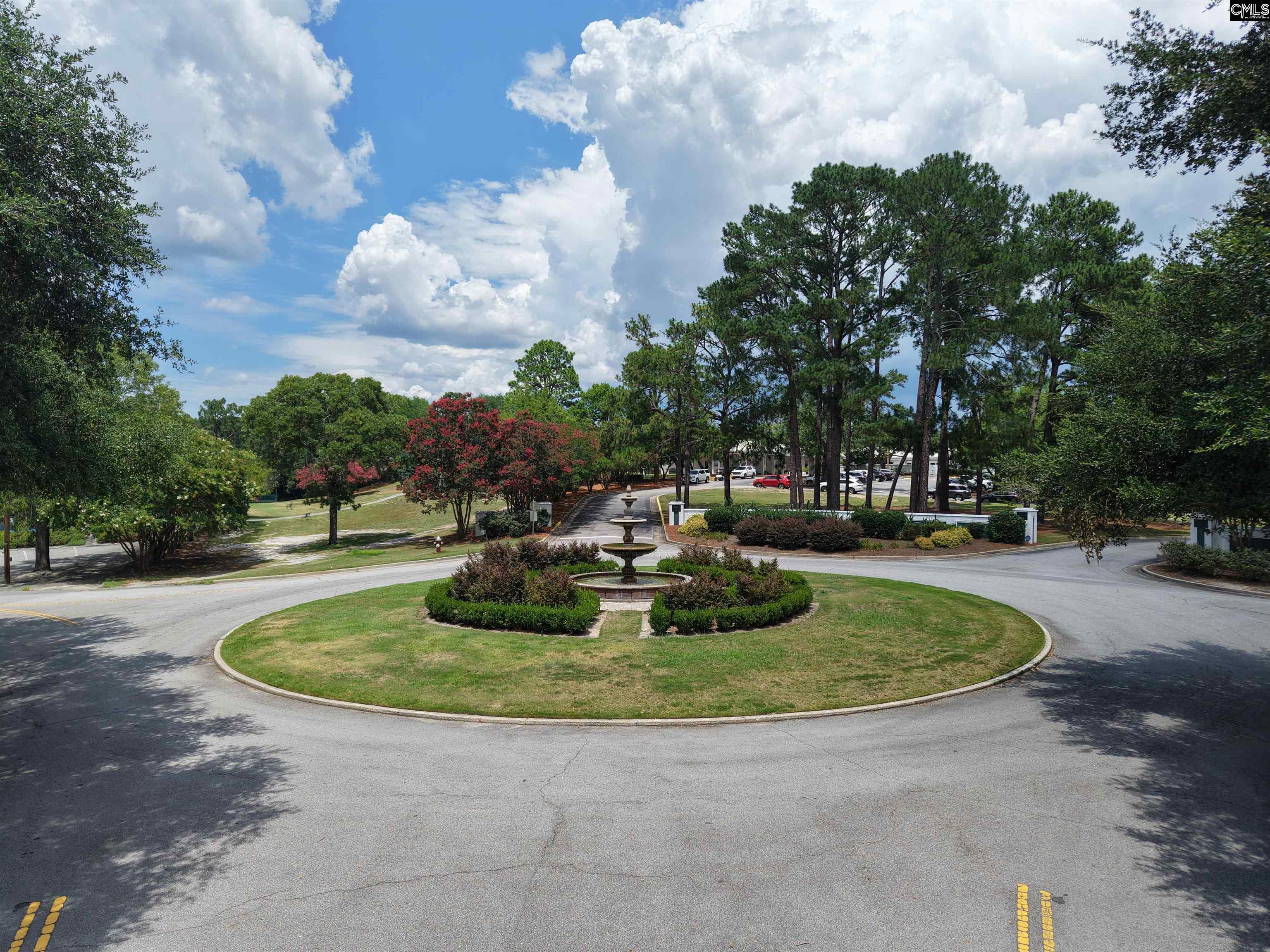 264 Southlake Road Columbia, SC 29223 - Photo 65 of 69