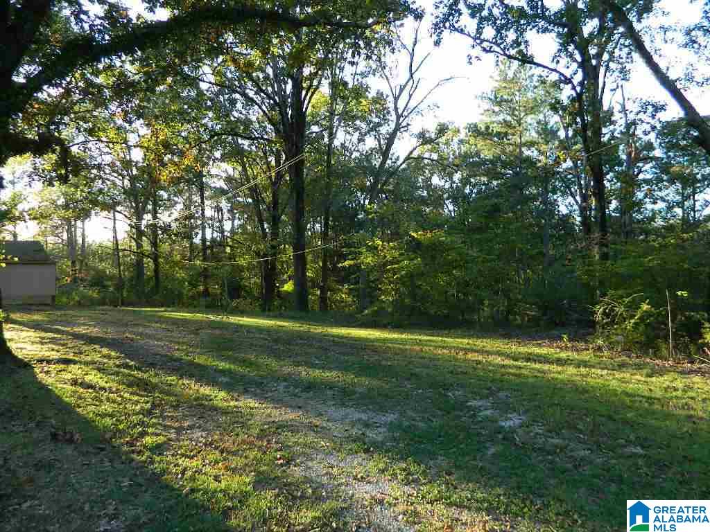 370 Jonesview Road Talladega, AL 35160 - Photo 13 of 13