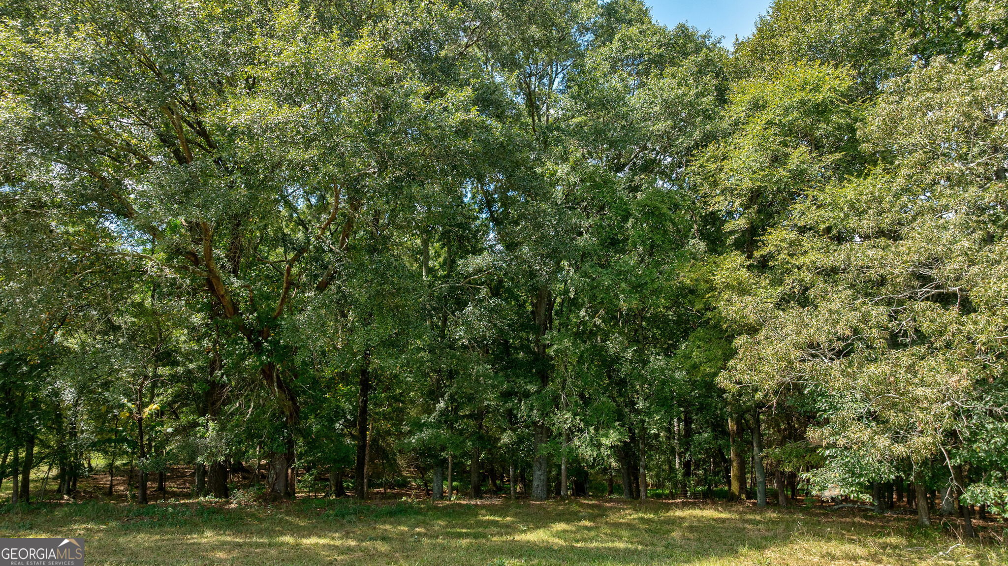 1160 Middlebrook Road Watkinsville, GA 30677 - Photo 3 of 42 Gallery Image 3