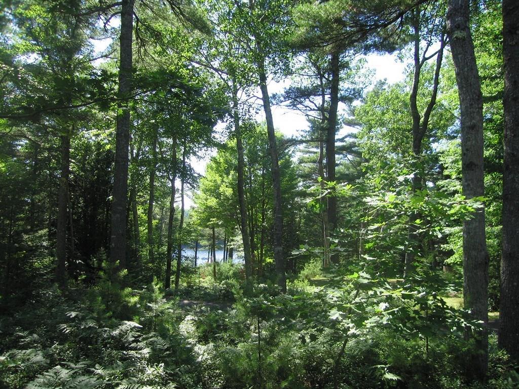 12 Echo Pines Road Mount Desert, ME 04660 - Photo 6 of 34 Photo