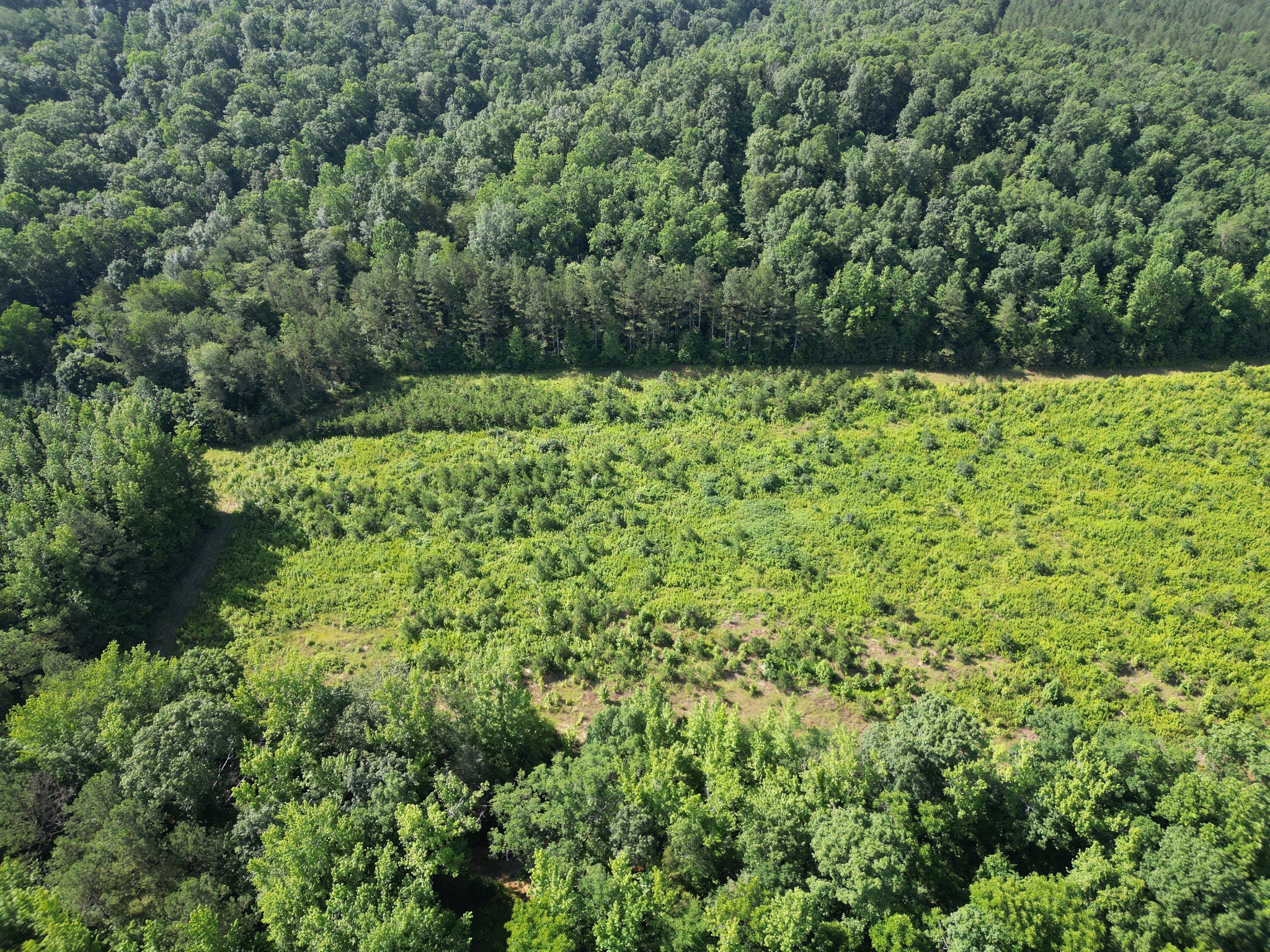 0 Brushy Road Centerville, TN 37033 - Photo 1 of 49