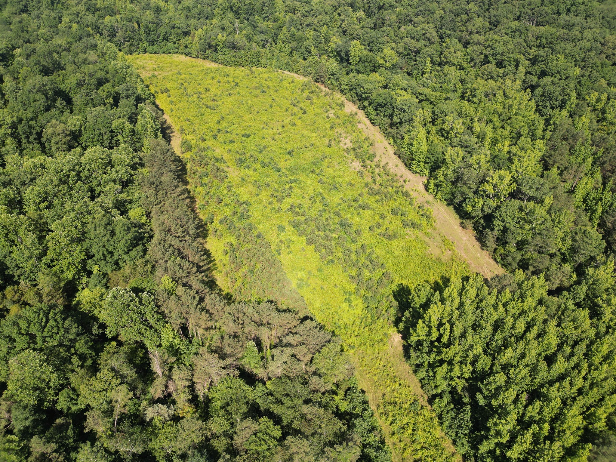 0 Brushy Road Centerville, TN 37033 - Photo 11 of 49