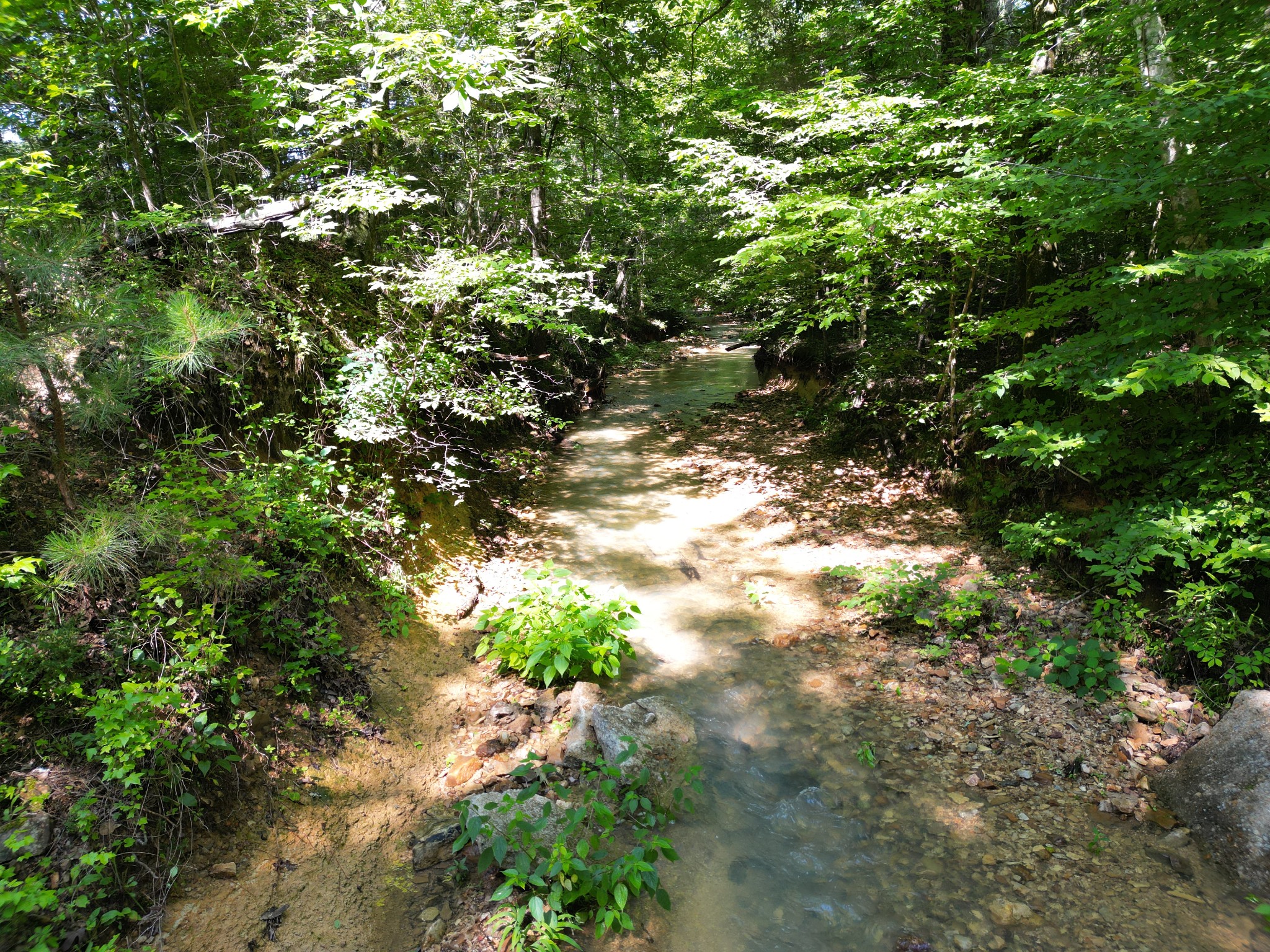 0 Brushy Road Centerville, TN 37033 - Photo 14 of 49