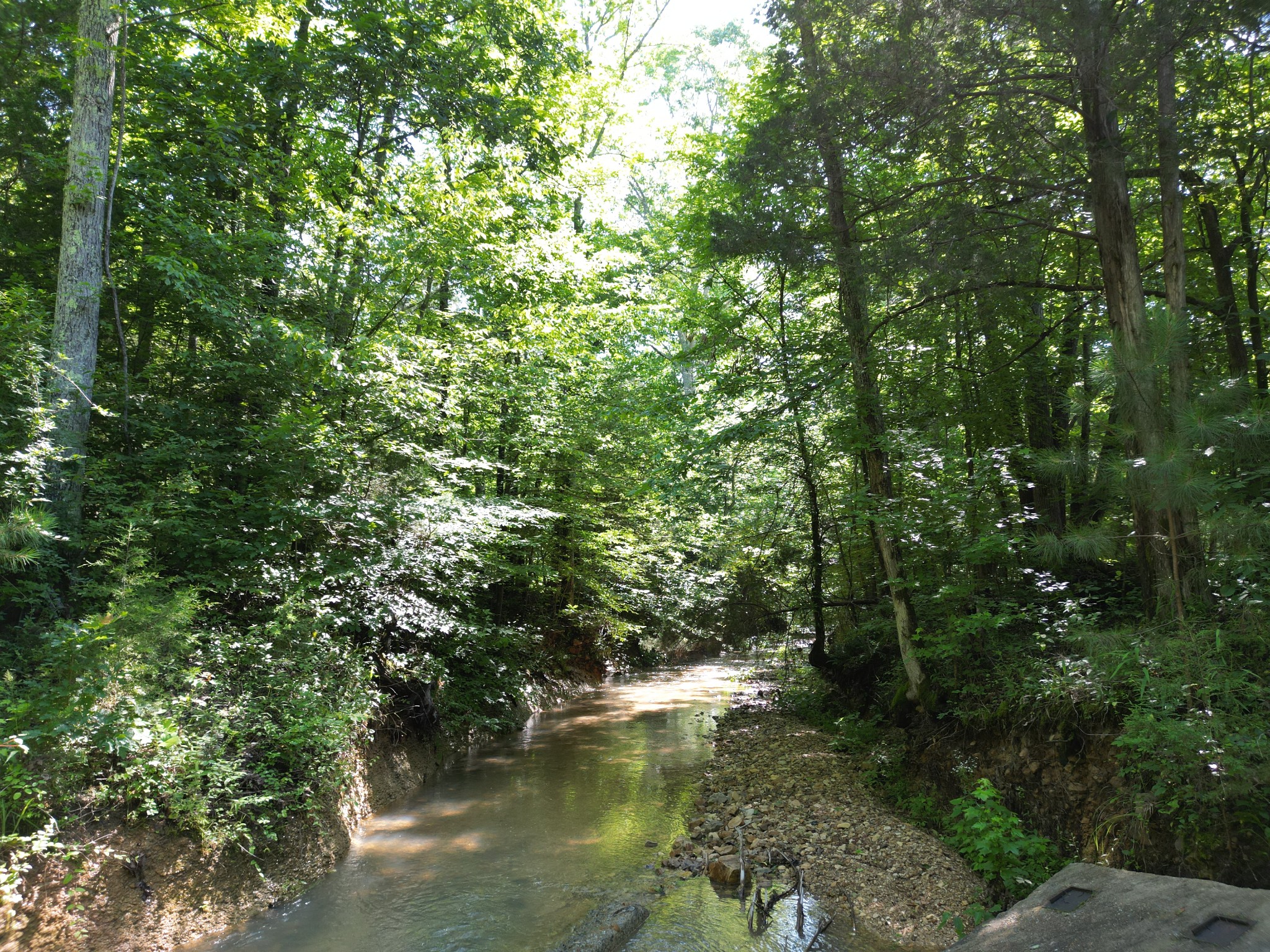 0 Brushy Road Centerville, TN 37033 - Photo 15 of 49