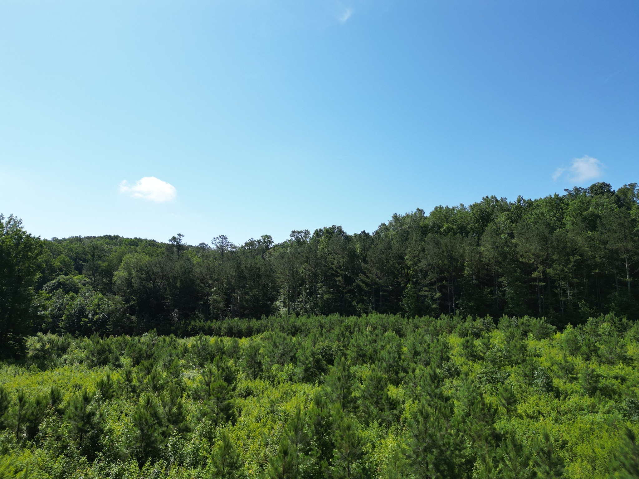 0 Brushy Road Centerville, TN 37033 - Photo 17 of 49