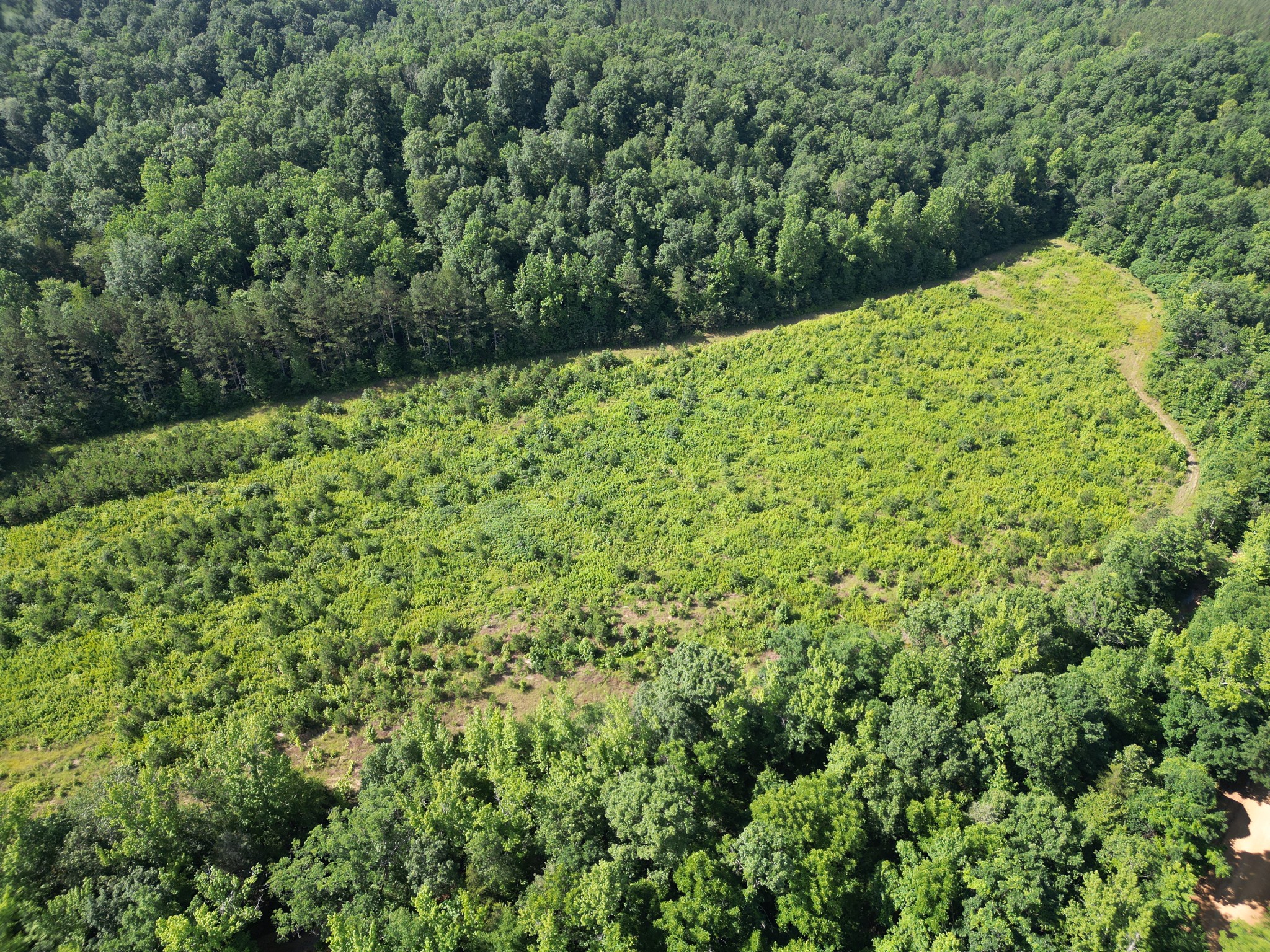 0 Brushy Road Centerville, TN 37033 - Photo 2 of 49