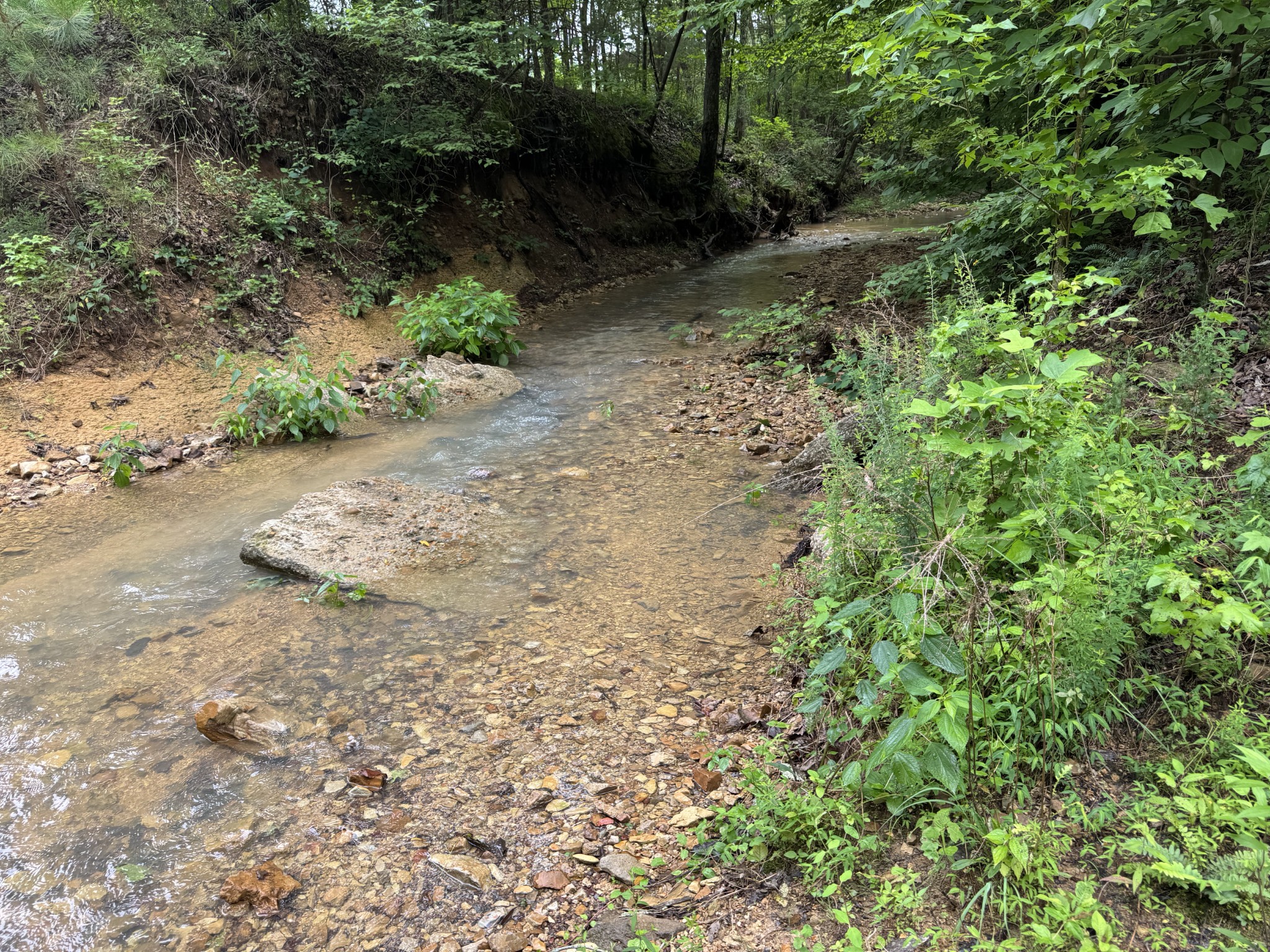 0 Brushy Road Centerville, TN 37033 - Photo 24 of 49