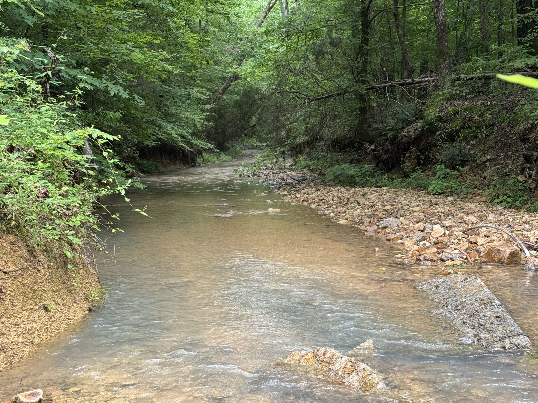0 Brushy Road Centerville, TN 37033 - Photo 25 of 49