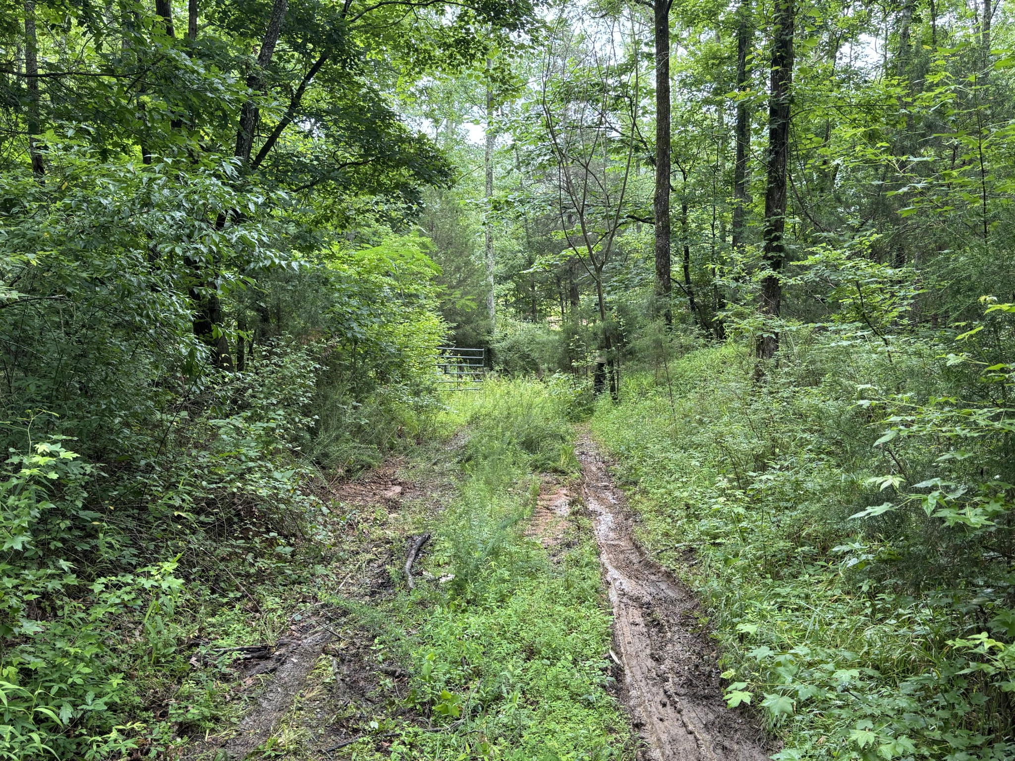 0 Brushy Road Centerville, TN 37033 - Photo 27 of 49