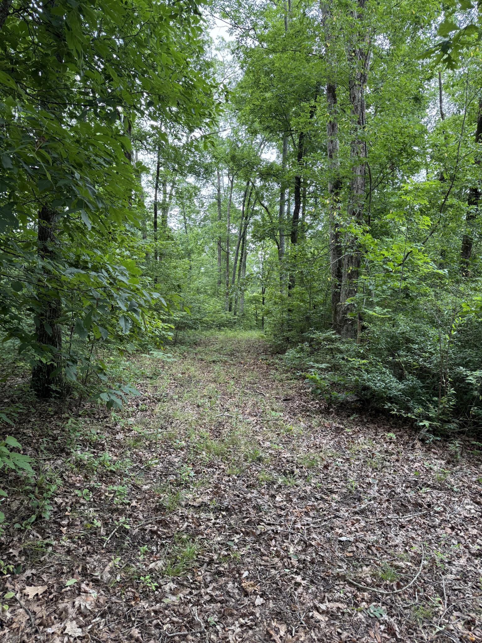 0 Brushy Road Centerville, TN 37033 - Photo 34 of 49