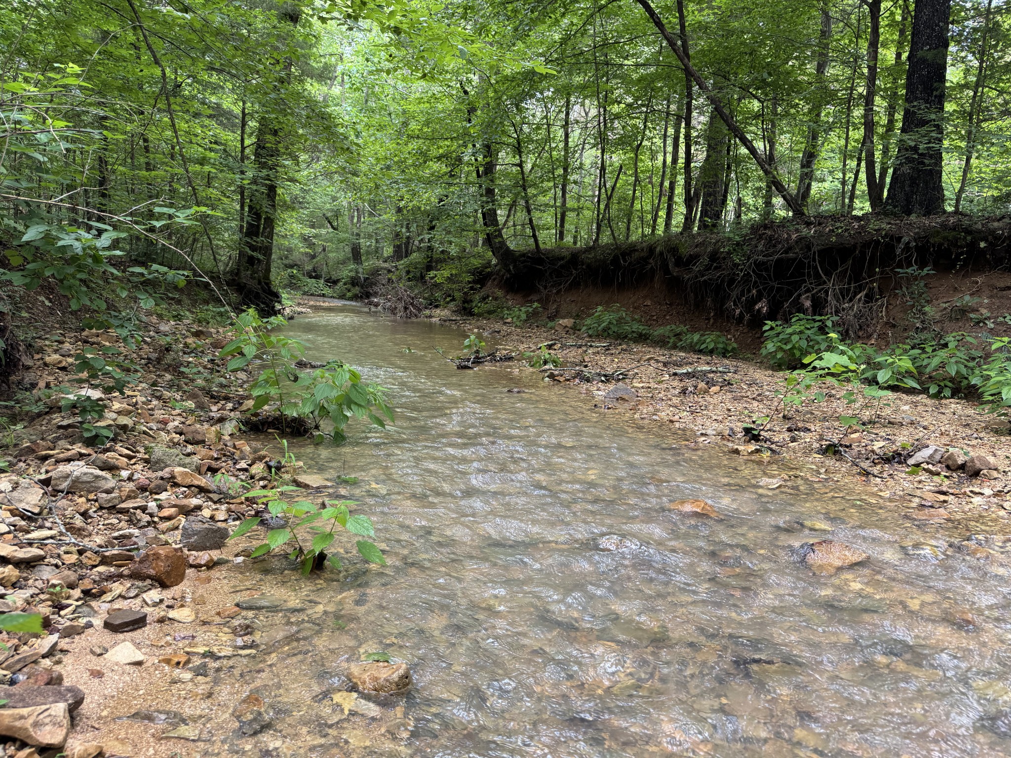 0 Brushy Road Centerville, TN 37033 - Photo 35 of 49