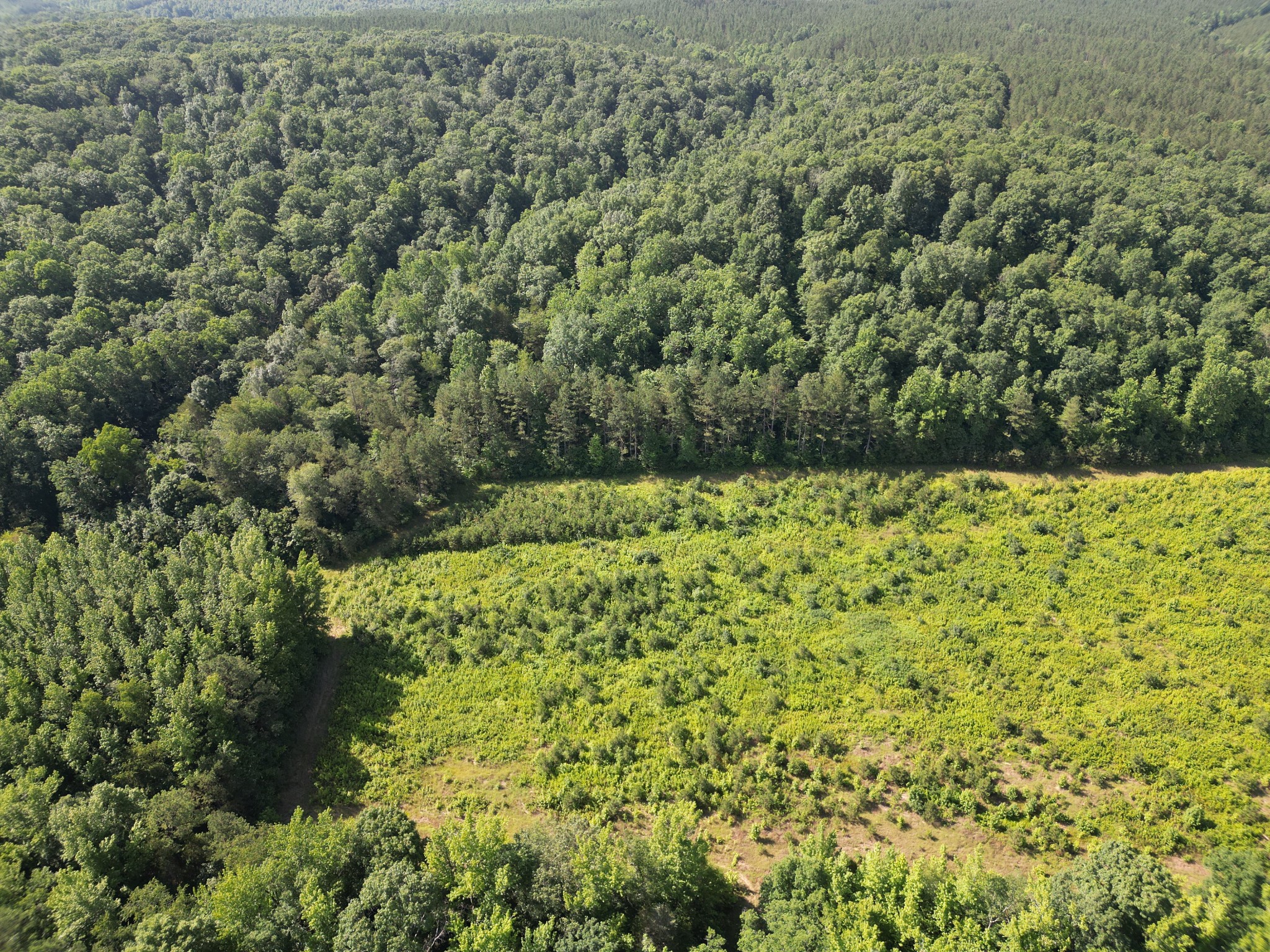 0 Brushy Road Centerville, TN 37033 - Photo 4 of 49