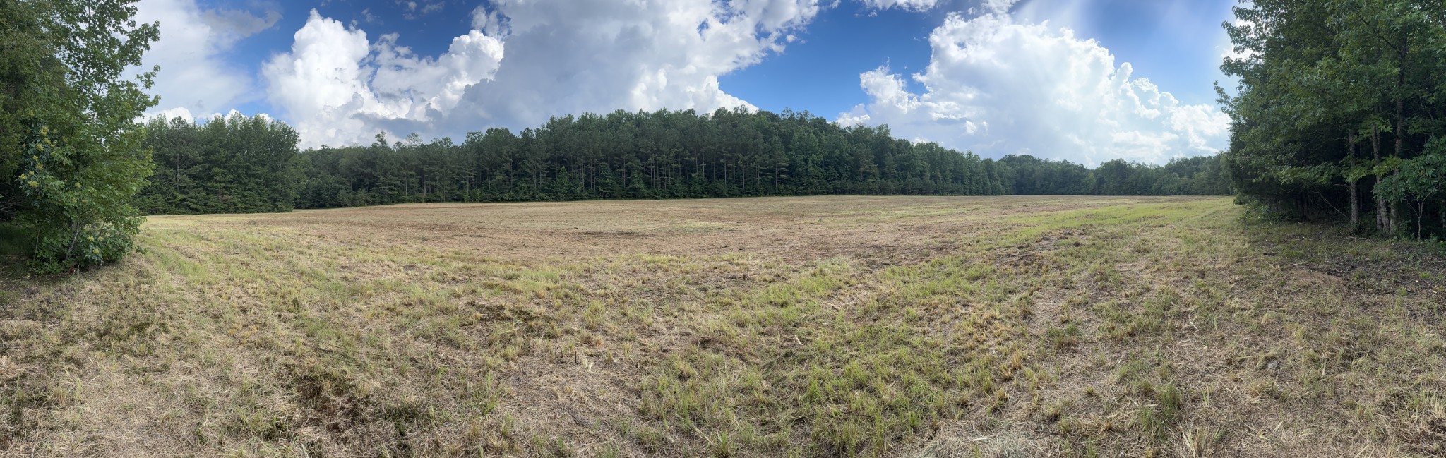 0 Brushy Road Centerville, TN 37033 - Photo 41 of 49