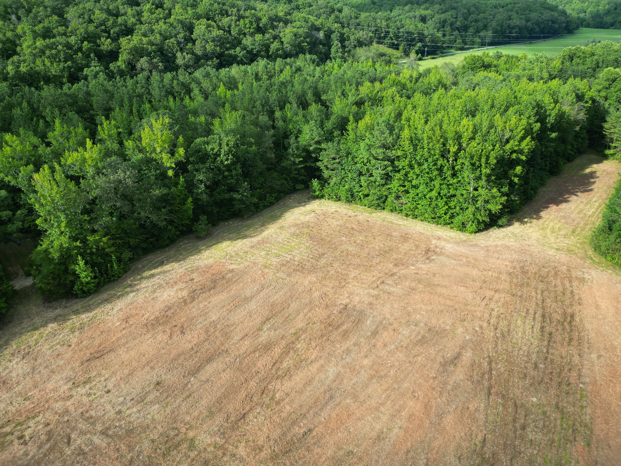 0 Brushy Road Centerville, TN 37033 - Photo 45 of 49