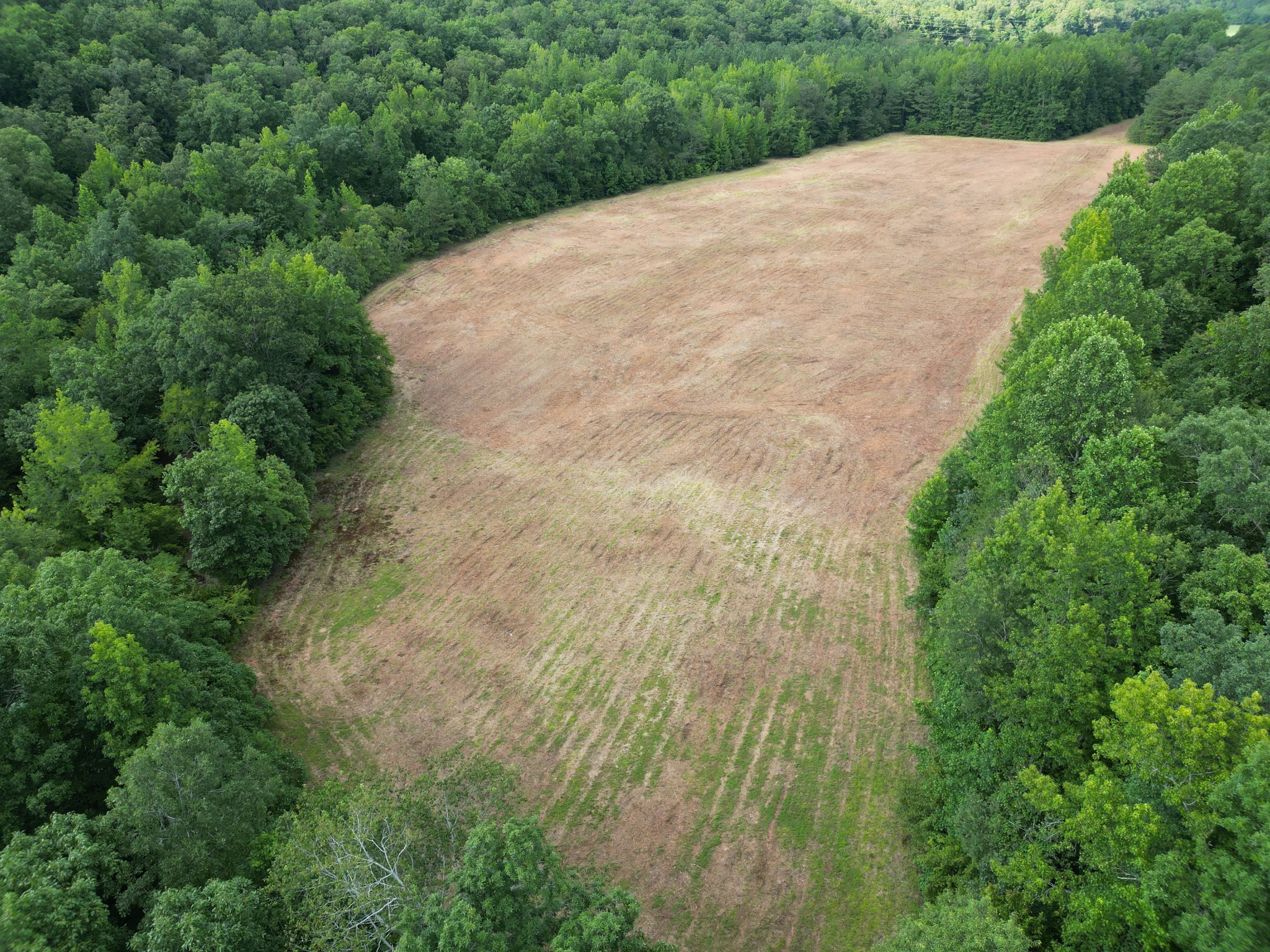 0 Brushy Road Centerville, TN 37033 - Photo 47 of 49